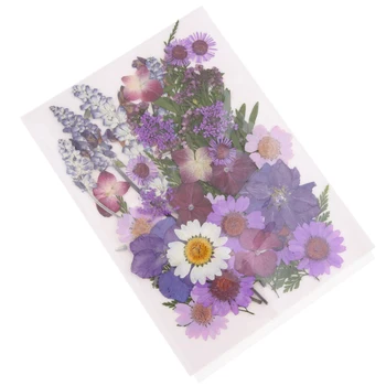 1 Paket Čudovite Naravne Pritisnete Posušeno Cvetje Pritisnete Listi - DIY Cvetlični Umetnostne Obrti Dekor Milo Sveča Polnila Okraski