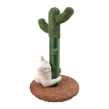 Kaktus za 25,6