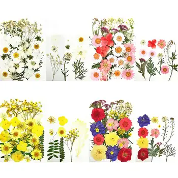 36Pcs Scrapbooking Zaznamek Pritisnete Posušeno Cvetje DIY Ohranjeno Plovilo Dekoracijo Suhe Rastline Za Svečo Epoksi Smolo, Obesek